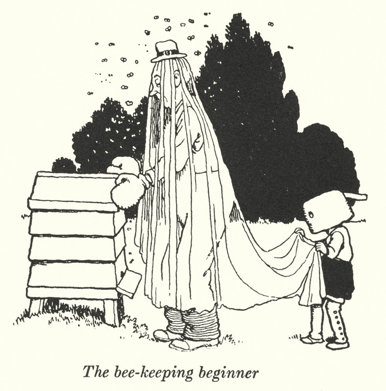 El principiante en apicultura (litografía) de William Heath Robinson