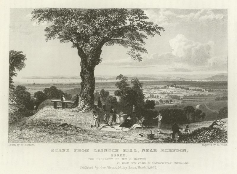 Escena de Laindon Hill, cerca de Horndon, Essex de William Henry Bartlett