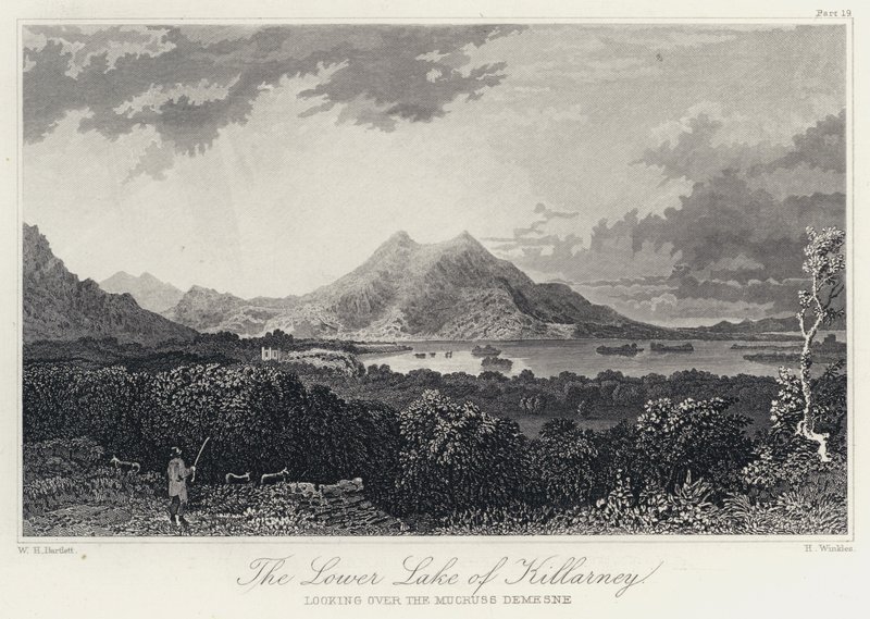El lago inferior de Killarney, mirando sobre el Mucruss Demesne (grabado) de William Henry Bartlett