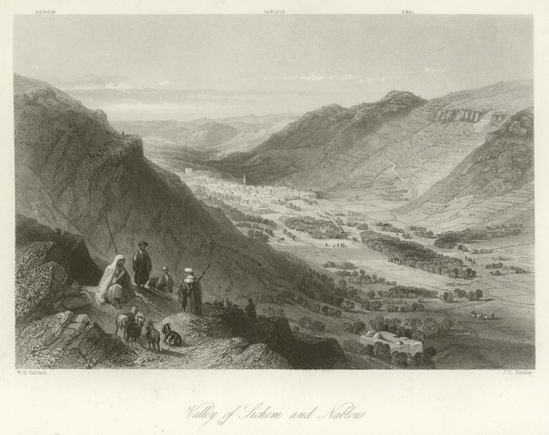 Valle de Sichem y Nablus, Palestina de William Henry Bartlett