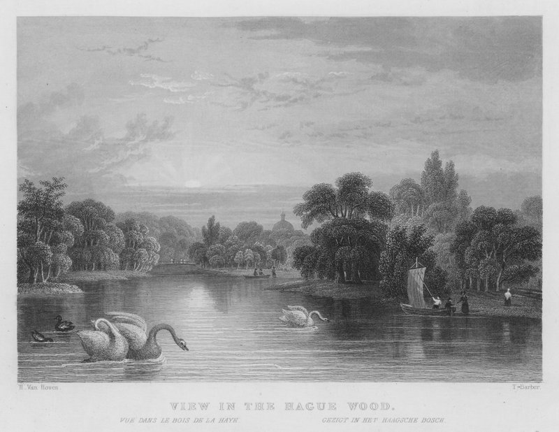 Vista en el Bosque de La Haya de William Henry Bartlett