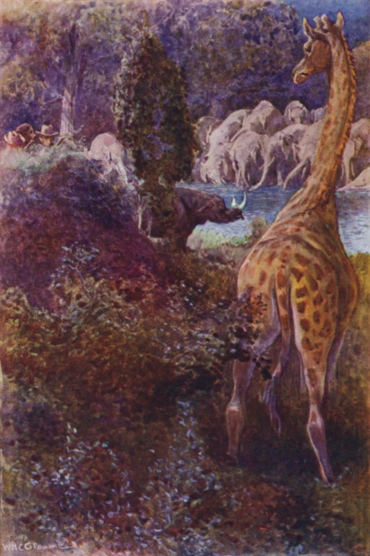 Ilustración para Los cazadores de gorilas por R M Ballantyne (litografía a color) de William Henry Charles Groome