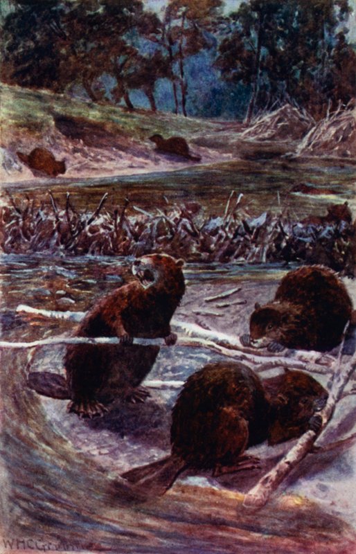 "Construyen una presa en el arroyo" de William Henry Charles Groome