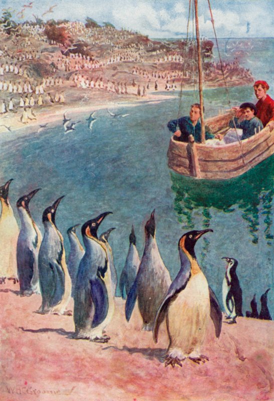 Miramos a los pájaros con sorpresa y placer, ellos devolviendo nuestra mirada con interés de William Henry Charles Groome