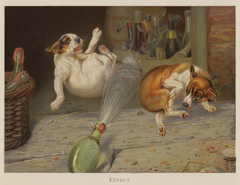 Efecto de William Henry Hamilton Trood