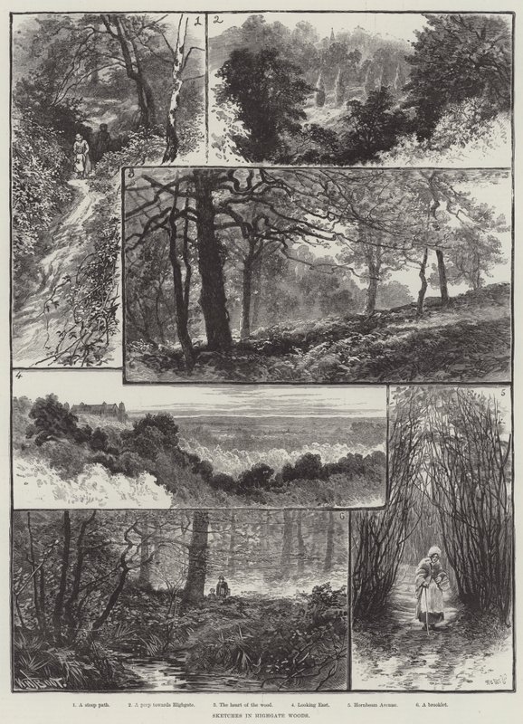 Bocetos en los bosques de Highgate de William Henry James Boot