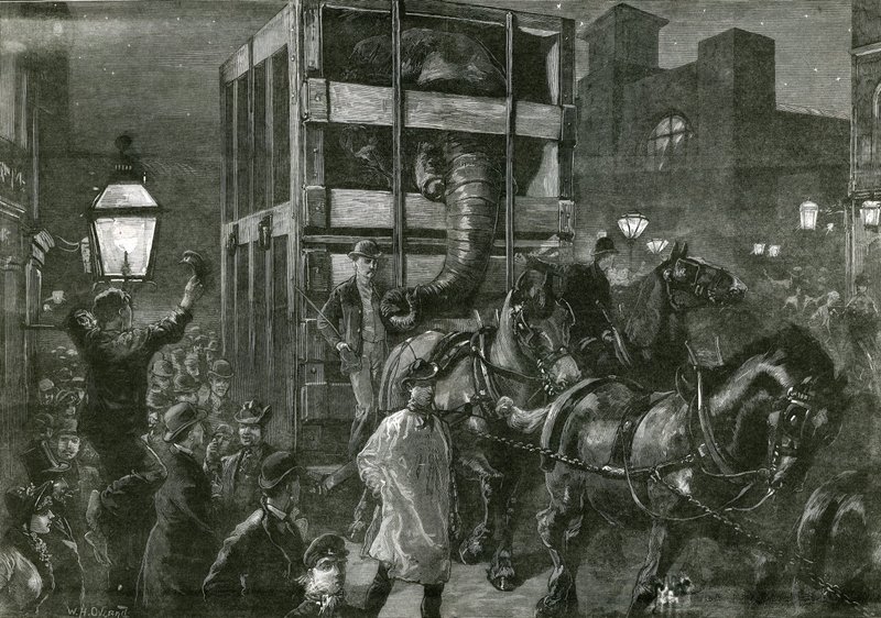 El viaje de Jumbo a los muelles de William Heysham Overend