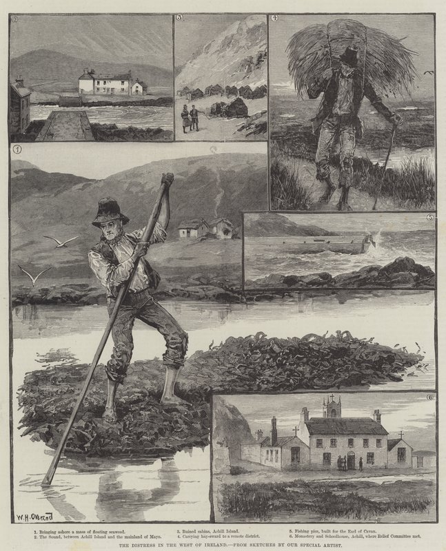 La angustia en el oeste de Irlanda de William Heysham Overend