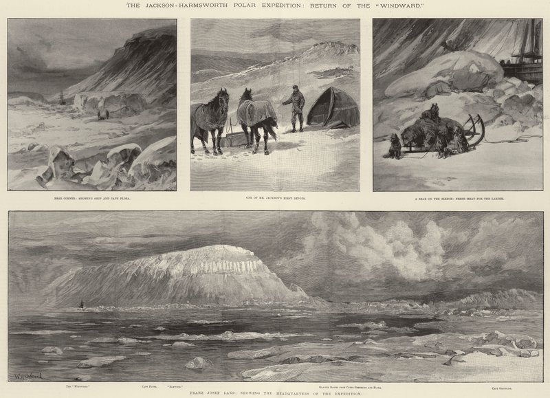 La Expedición Polar Jackson-Harmsworth, Retorno del Windward de William Heysham Overend