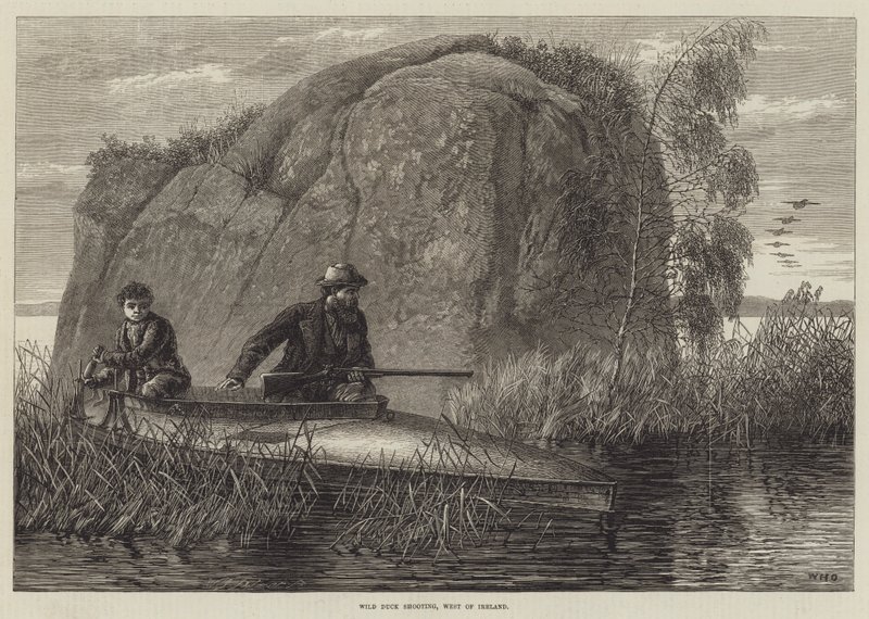 Caza de Patos Salvajes, Oeste de Irlanda de William Heysham Overend