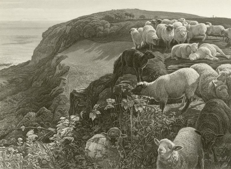En la ladera (grabado) de William Holman Hunt