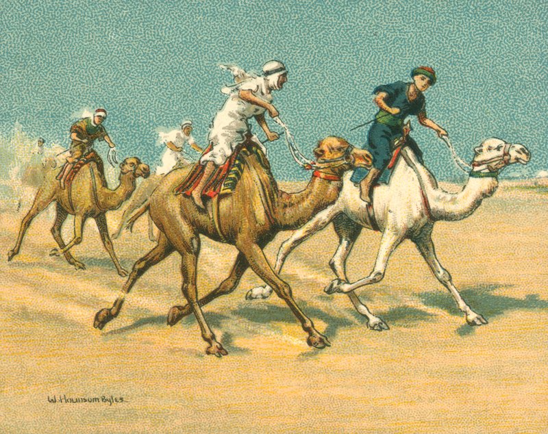 Carreras Históricas y Modernas, Carreras de Camellos de William Hounsom Byles