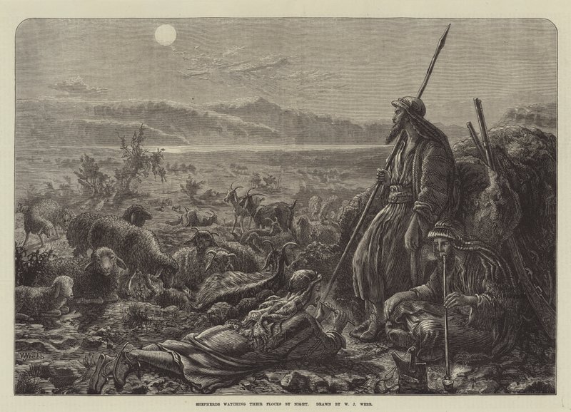 Pastores vigilando sus Rebaños por la Noche de William J. Webbe or Webb