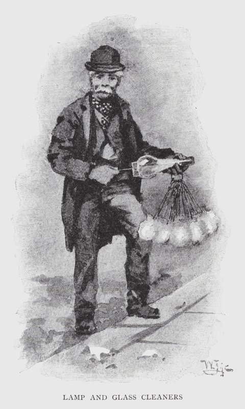Limpiadores de Lámparas y Cristales de William Luker