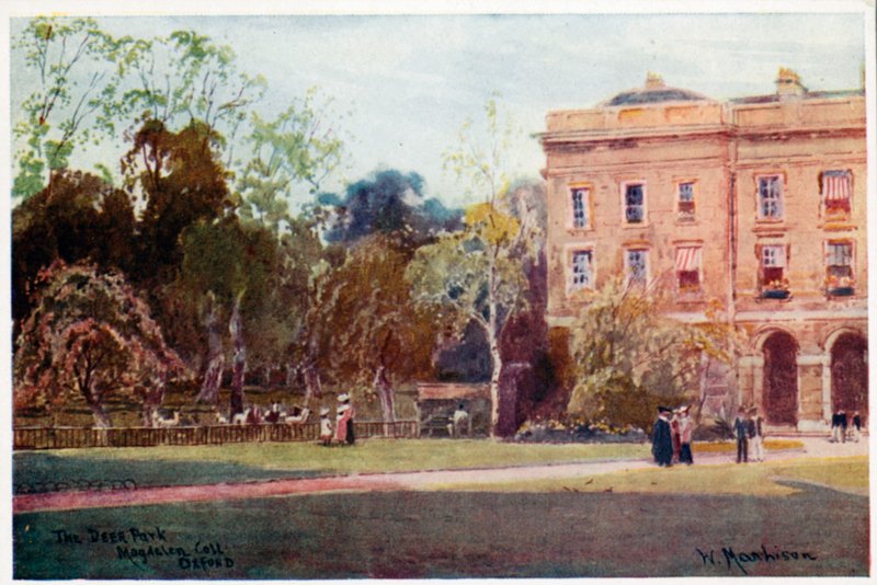 El parque de los ciervos, Magdalen College, Nuevos Edificios de William Matthison