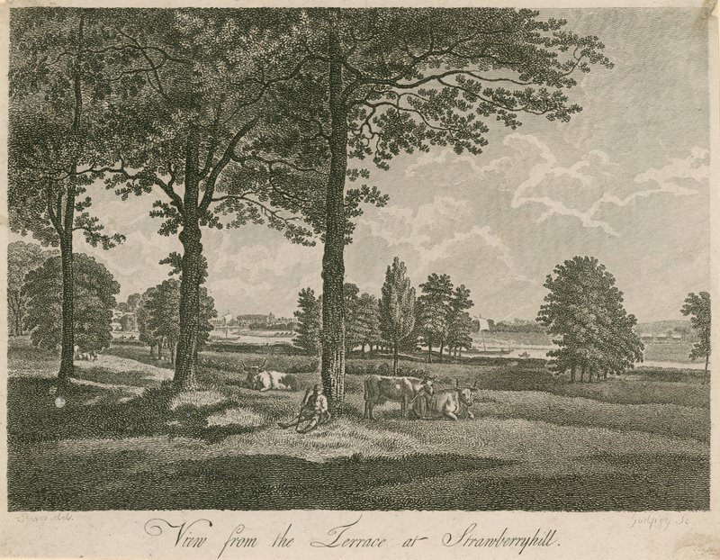 Vista desde la terraza de Strawberry Hill, Londres de William Pars
