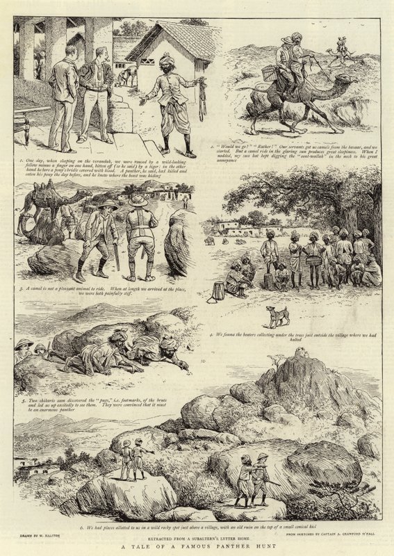 Historia de una famosa cacería de panteras de William Ralston