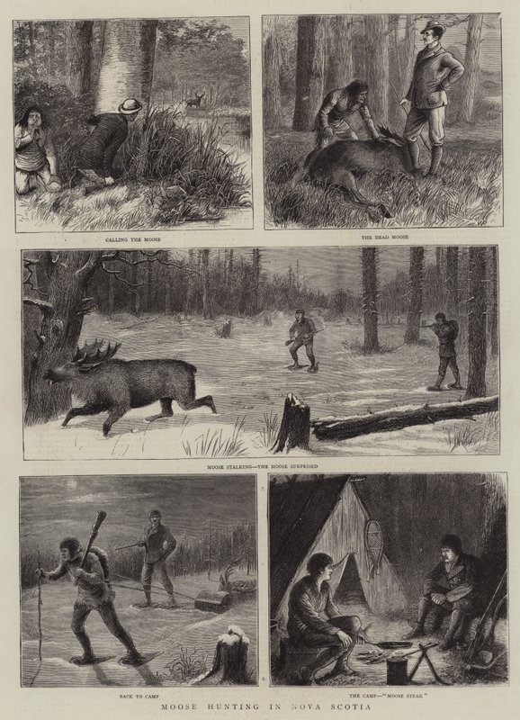 Caza de Alces en Nueva Escocia de William Ralston