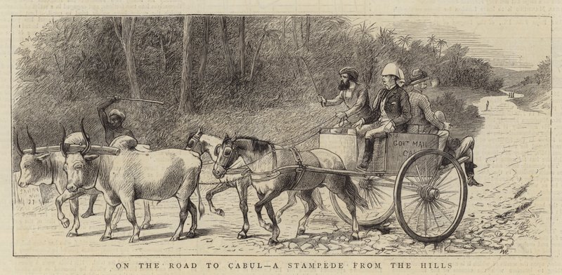 En el camino a Kabul, una estampida desde las colinas de William Ralston