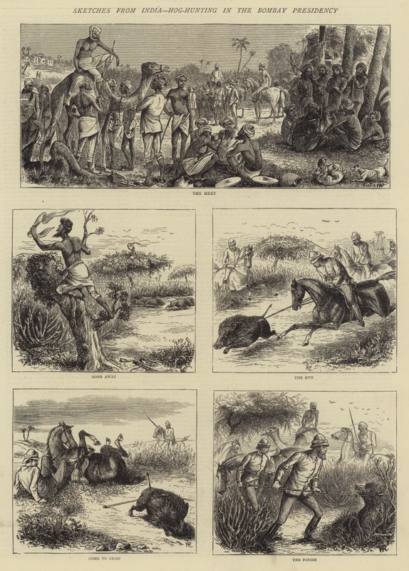 Bocetos de la India, caza de jabalíes en la Presidencia de Bombay de William Ralston