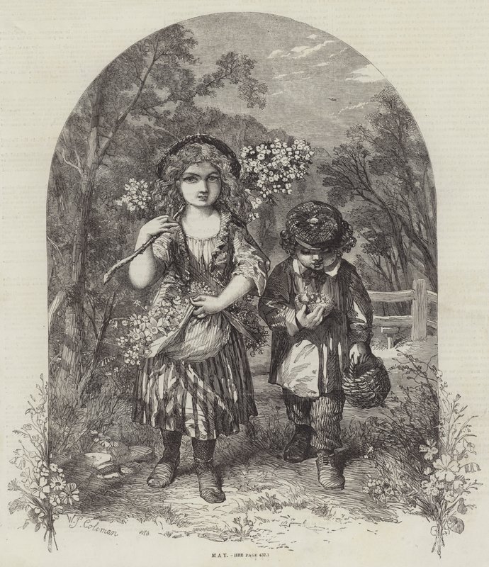 Mayo de William Stephen Coleman