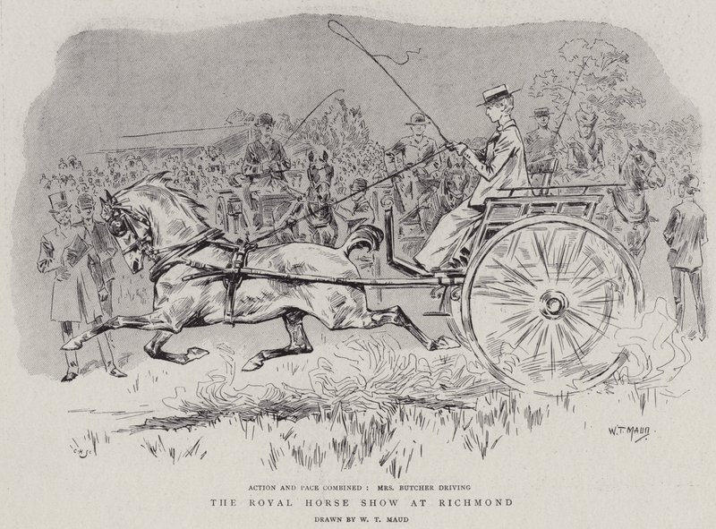 El espectáculo ecuestre real en Richmond de William T. Maud