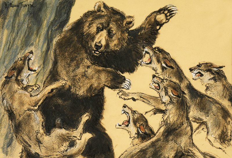 Oso luchando contra lobos de William Timyn