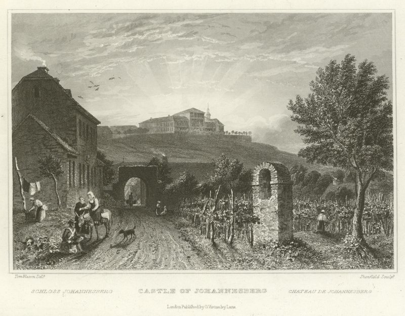Castillo de Johannesberg de William Tombleson