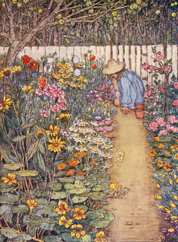 Libro infantil de jardinería: Un arriate herbáceo (litografía en color) de Winifred Cayley Robinson