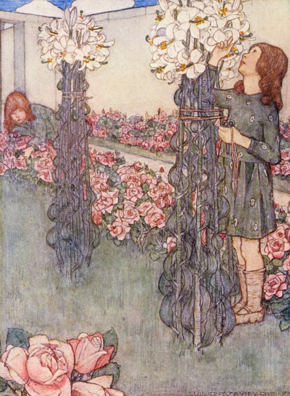 Libro infantil de jardinería: Lirios y rosas (litografía en color) de Winifred Cayley Robinson