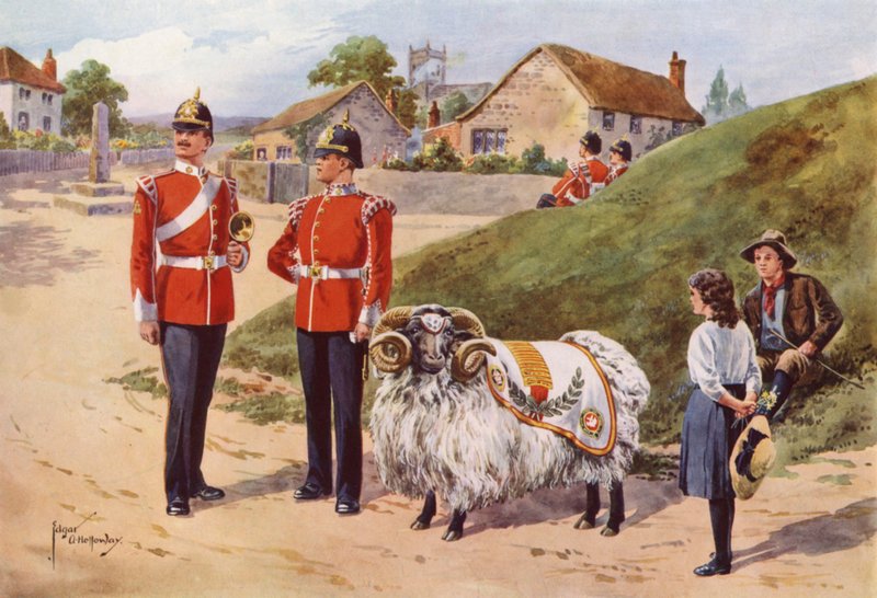 Derby Tom, el carnero mascota de los Sherwood Foresters de after Edgar Alfred Holloway
