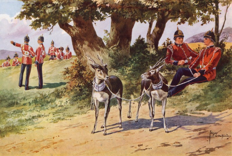 Los antílopes mascota del Royal Warwickshire Regiment de after Edgar Alfred Holloway
