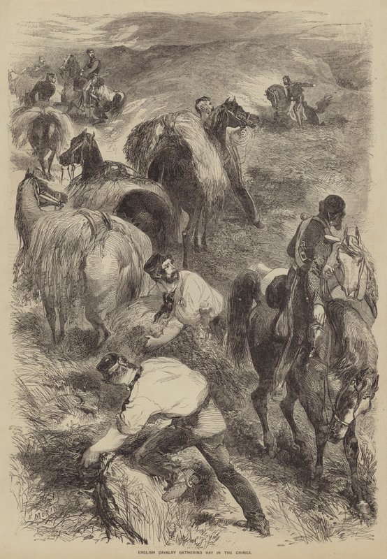 Caballería inglesa recogiendo heno en Crimea de after Edmond Morin