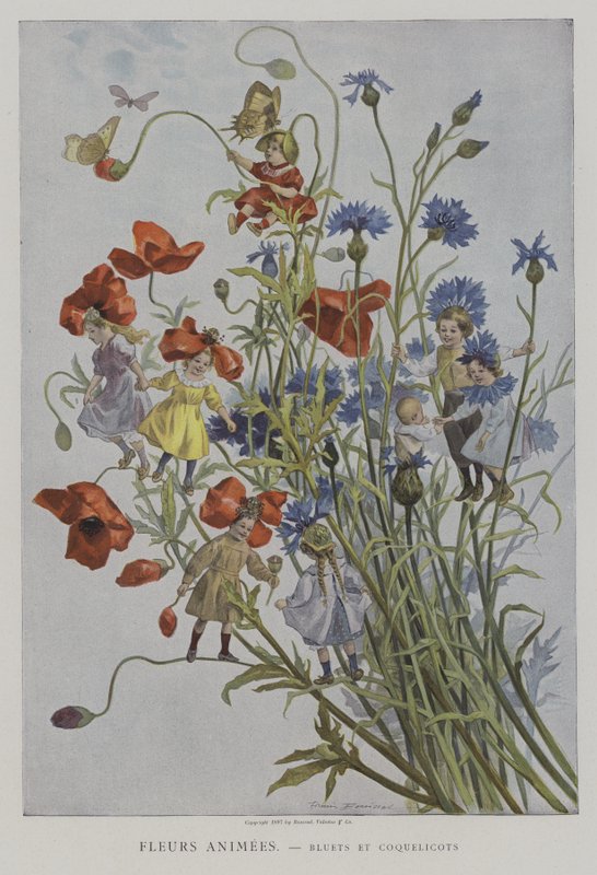 Flores animadas: acianos y amapolas de after Firmin Bouisset