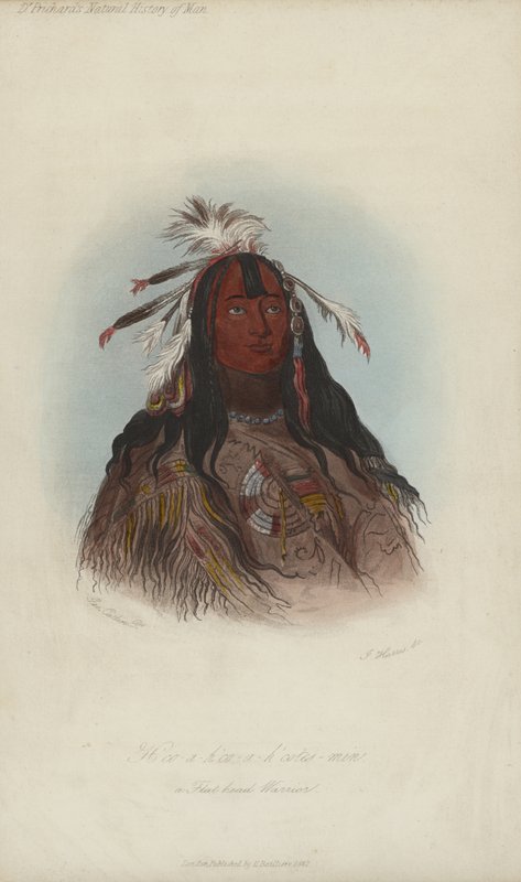 H?co-a-h?co-a-h?cotes-min, Un Guerrero Cabeza Plana (aguafuerte) de after George Catlin