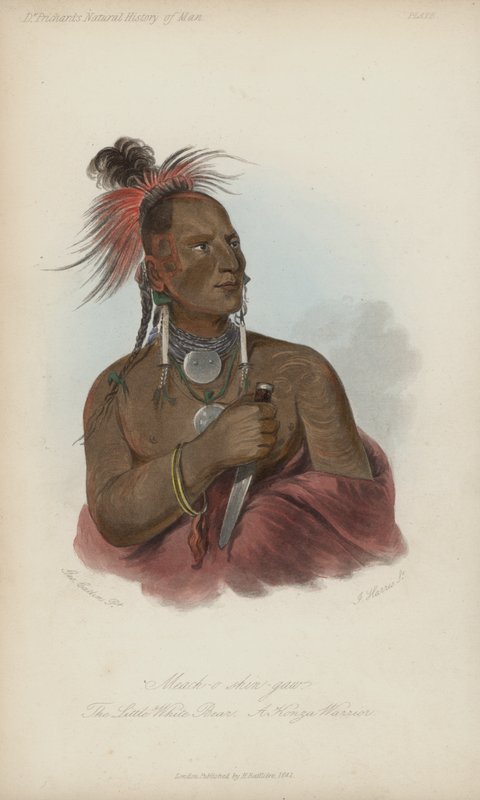 Meach-o shin-gaw, El Pequeño Oso Blanco, Un Guerrero Konza (aguafuerte) de after George Catlin