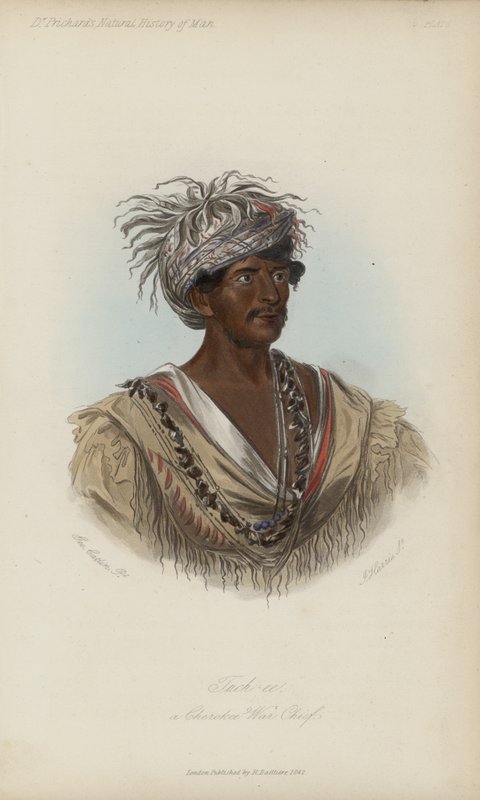 Tuch-ee, un Jefe de Guerra Cherokee (aguafuerte) de after George Catlin
