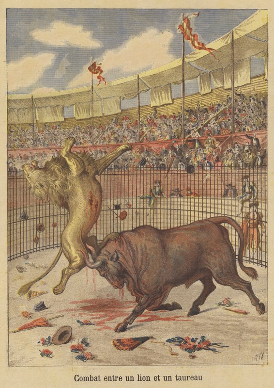 Combate entre un león y un toro de after Henri Meyer