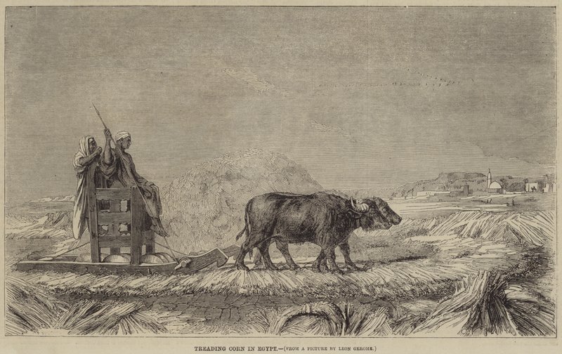 Pisando maíz en Egipto de after Jean Leon Gerome