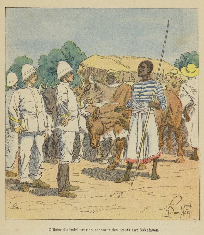 Oficial de administración comprando bueyes a los Sakalaves de after Louis Charles Bombled