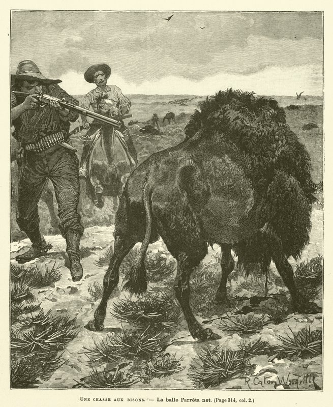 Una caza de bisontes de after Richard Caton II Woodville