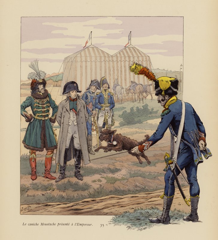 El perro Bigote presentado a Napoleón (litografía en color) de pseudonym for Onfray de Breville Jacques Job