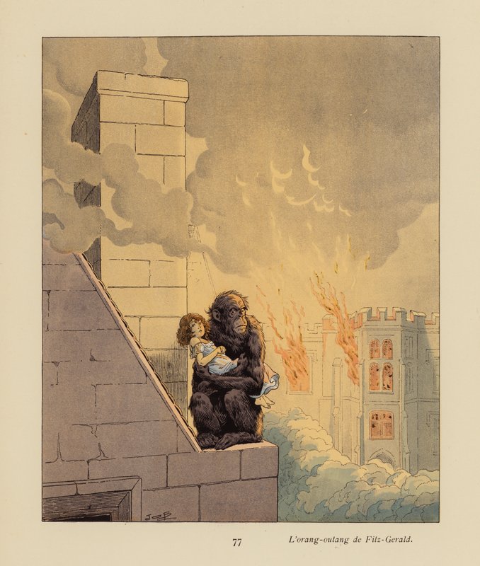 El orangután de Fitzgerald (litografía en color) de pseudonym for Onfray de Breville Jacques Job