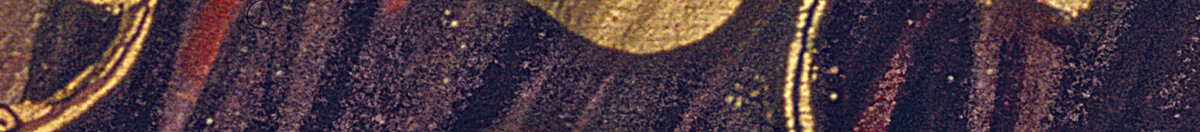 Dánae (Gustav Klimt), Detail: Goldene Kreisornamente am Tuch