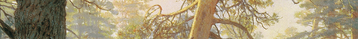 Mañana en un bosque de pinos (Ivan Ivanovich Shishkin), Detail: Morgenlicht im Kronendach
