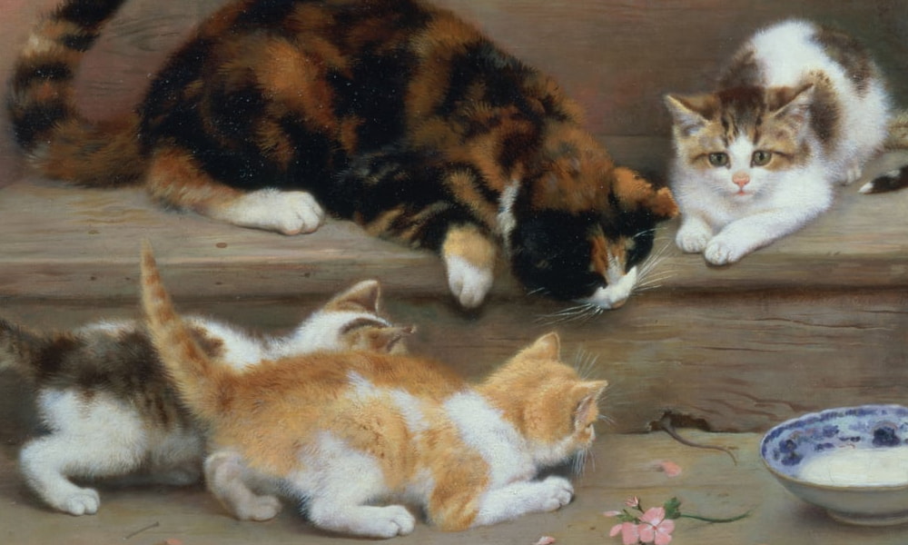Mascotas