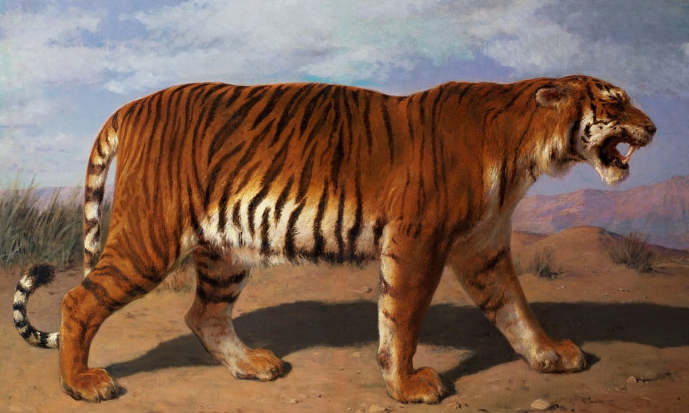 Animales salvajes