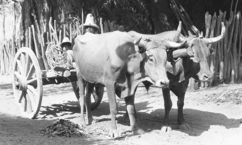 Fotografías antiguas