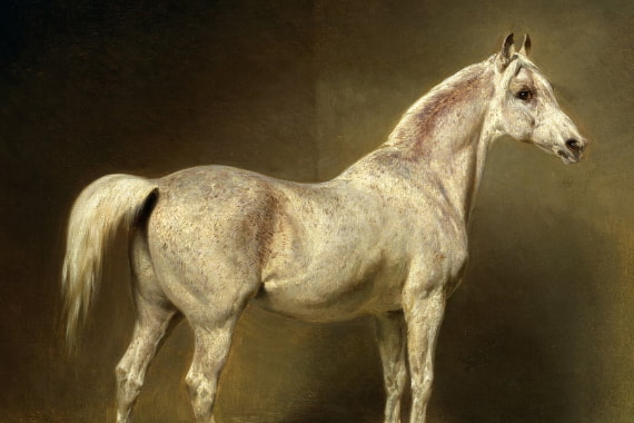Caballos
