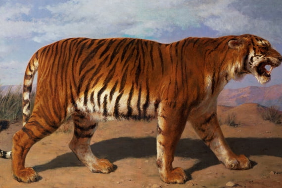 Animales salvajes